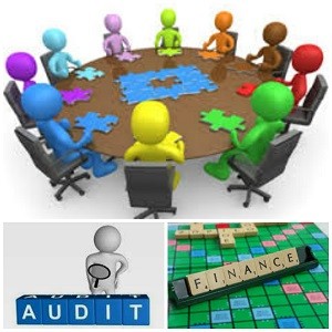 Audit and Finance Image - website